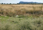 Terreny no urbanitzable en venda a la España, la Romana, ref.: TR57470 foto
