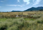 Terreny no urbanitzable en venda a la España, la Romana, ref.: TR57470 foto