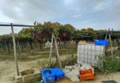 Casa de camp amb terreny en venda a la España, Asp, ref.: TR58706 foto