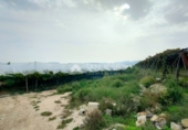 Casa de camp amb terreny en venda a la España, Asp, ref.: TR58706 foto