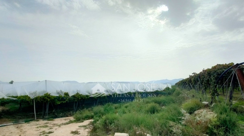 Alicante - Aspe - 20243m2
