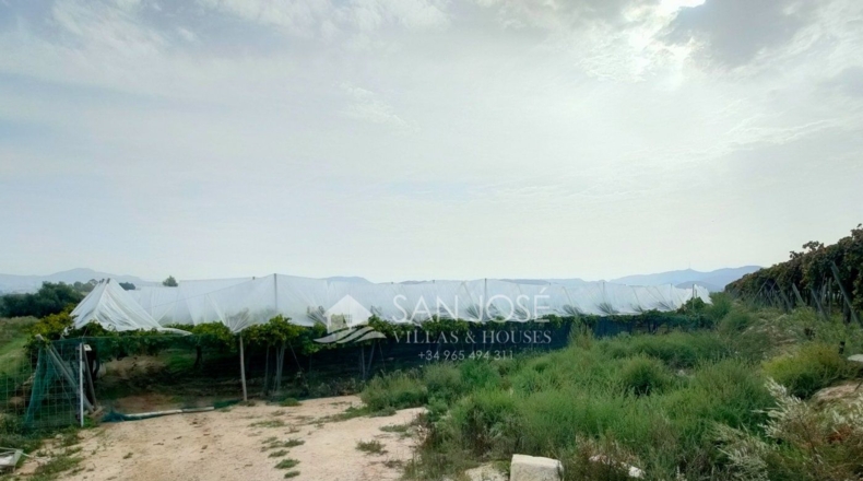 Alicante - Aspe - 20243m2