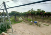 Casa de camp amb terreny en venda a la España, Asp, ref.: TR58706 foto