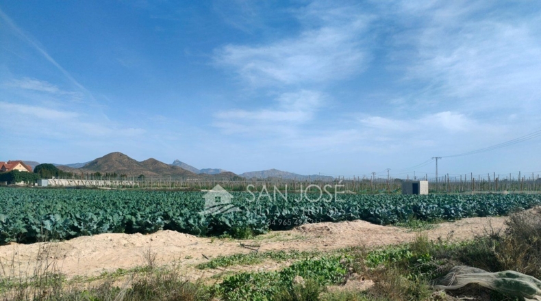 Alicante - Monforte del Cid - 11738m2
