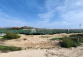 Terreny no urbanitzable en venda a la España, Montfort, ref.: TR58653 foto