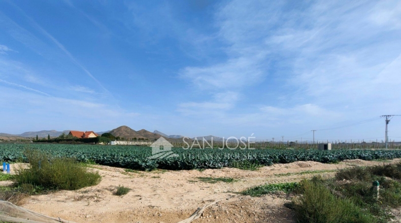 Alicante - Monforte del Cid - 11738m2