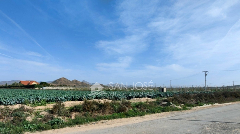 Alicante - Monforte del Cid - 11738m2
