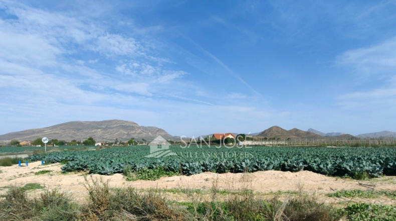 Alicante - Monforte del Cid - 11738m2