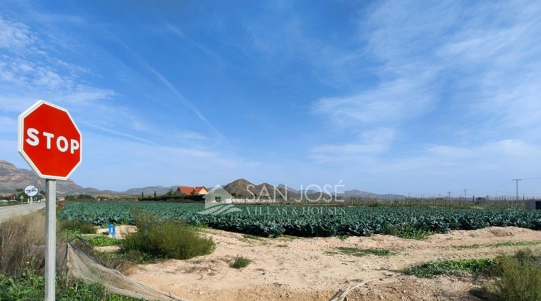 Alicante - Monforte del Cid - 11738m2