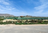 Terreny no urbanitzable en venda a la España, Montfort, ref.: TR58653 foto
