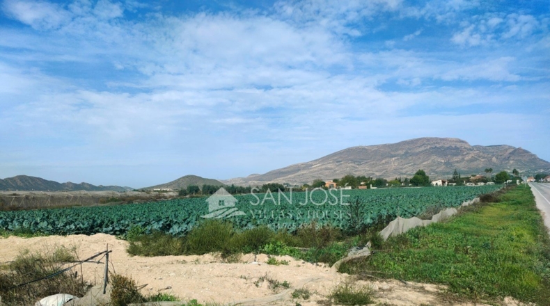 Alicante - Monforte del Cid - 12280m2