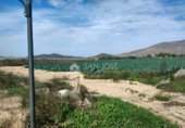 Terreny no urbanitzable en venda a la España, Montfort, ref.: TR58652 foto