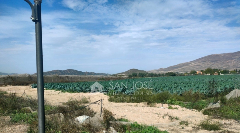 Alicante - Monforte del Cid - 12280m2