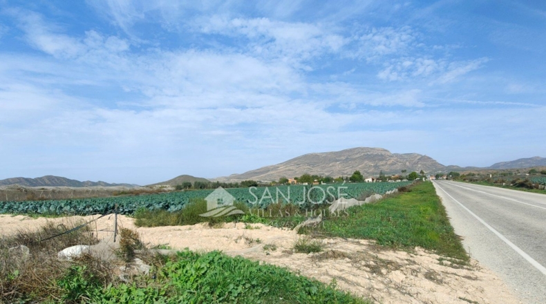 Alicante - Monforte del Cid - 12280m2