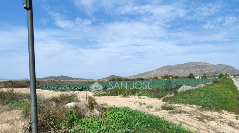 Alicante - Monforte del Cid - 12280m2