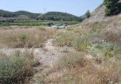 Terreny no urbanitzable en venda a la España, Monòver, ref.: TR59122 foto