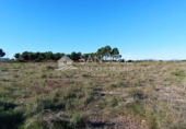 Terreno no urbanizable en venta en la España, Elche, ref: TR67269 foto