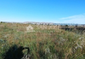 Terreno no urbanizable en venta en la España, Elche, ref: TR67269 foto