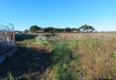 Terreno no urbanizable en venta en la España, Elche, ref: TR67269 foto