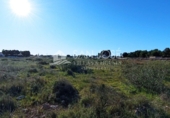 Terreno no urbanizable en venta en la España, Elche, ref: TR67269 foto
