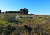 Terreno no urbanizable en venta en la España, Elche, ref: TR67269 foto