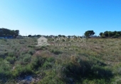 Terreno no urbanizable en venta en la España, Elche, ref: TR67269 foto