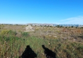 Terreno no urbanizable en venta en la España, Elche, ref: TR67269 foto
