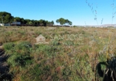 Terreno no urbanizable en venta en la España, Elche, ref: TR67269 foto