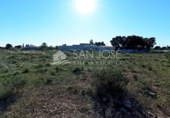 Terreno no urbanizable en venta en la España, Elche, ref: TR67269 foto