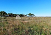 Terreno no urbanizable en venta en la España, Elche, ref: TR67269 foto