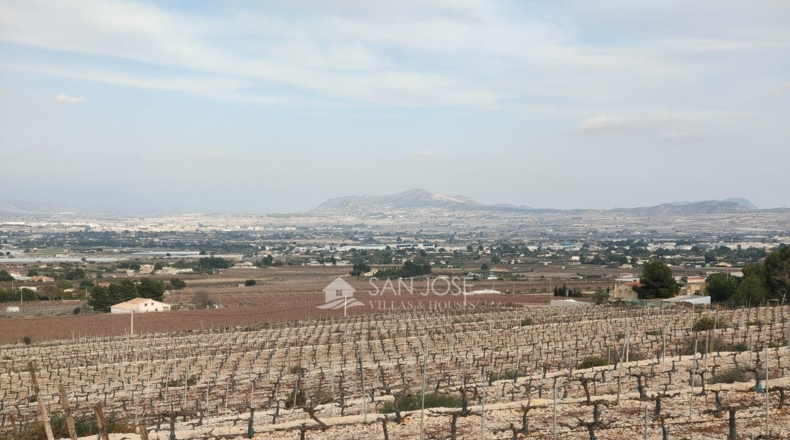 Alicante - Aspe - 43951m2