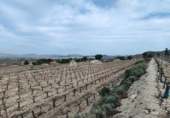 Casa amb terreny en venda a la España, Asp, ref.: TR73141 foto