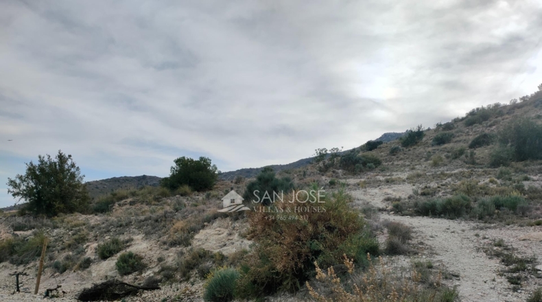 Alicante - Aspe - 43951m2