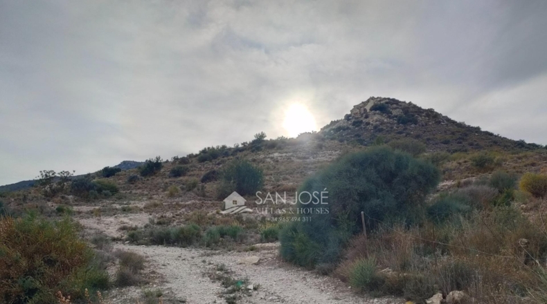 Alicante - Aspe - 43951m2