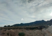 Casa amb terreny en venda a la España, Asp, ref.: TR73141 foto