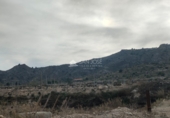 Casa amb terreny en venda a la España, Asp, ref.: TR73141 foto