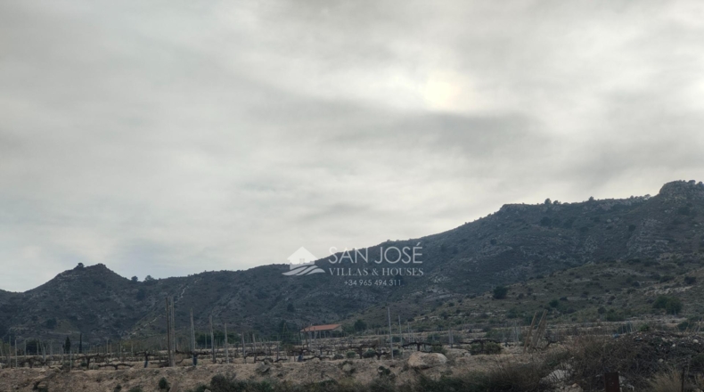 Alicante - Aspe - 43951m2
