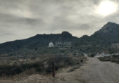 Casa amb terreny en venda a la España, Asp, ref.: TR73141 foto
