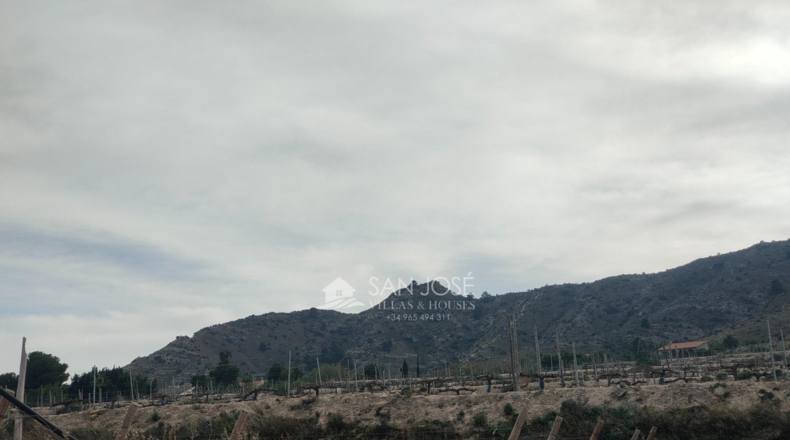 Alicante - Aspe - 43951m2