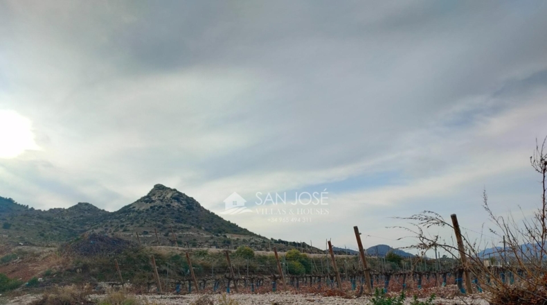 Alicante - Aspe - 43951m2