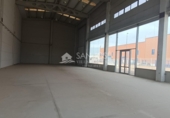 Industrial warehouse for rent on España, Novelda, ref: TR77609 photo