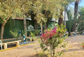 Foto 9