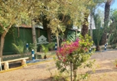 Casa de campo con terreno en venta en la España, Crevillente, ref: TR90881 foto