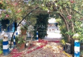 Casa de campo con terreno en venta en la España, Crevillente, ref: TR90881 foto
