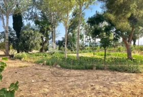 Foto 13