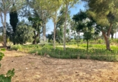 Casa de campo con terreno en venta en la España, Crevillente, ref: TR90881 foto