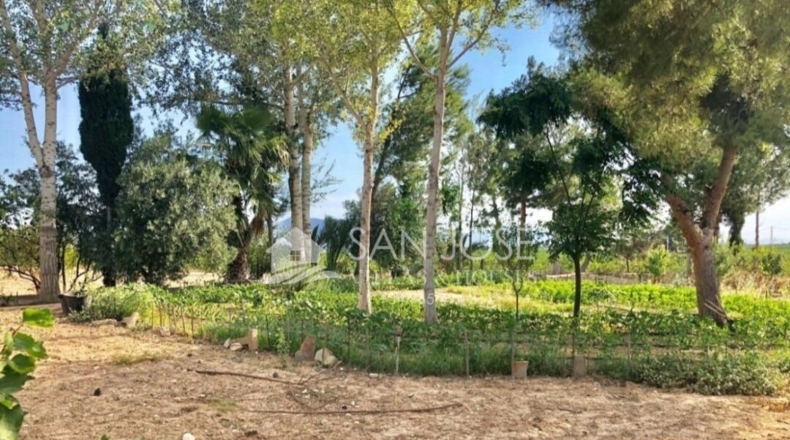 Alicante - Crevillente - 8475m2