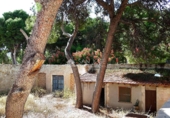 Casa de poble en venda a la España, la Romana, ref.: TR92281 foto