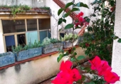 Casa de poble en venda a la España, la Romana, ref.: TR92281 foto