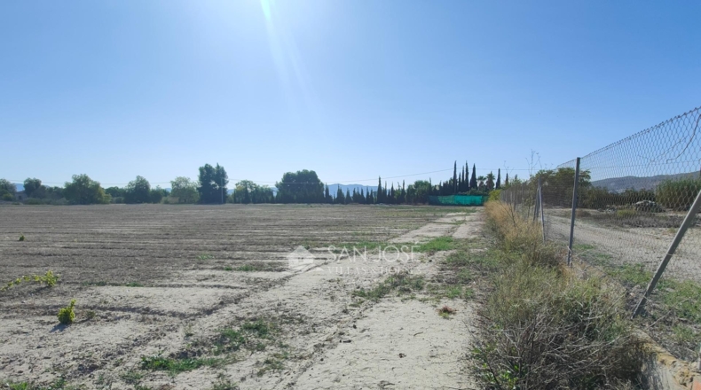 Alicante - Aspe - 14528m2